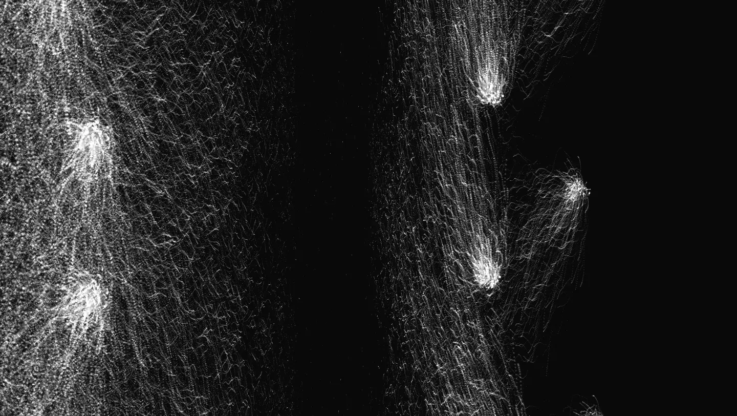 Real-time FFT Audio Analysis